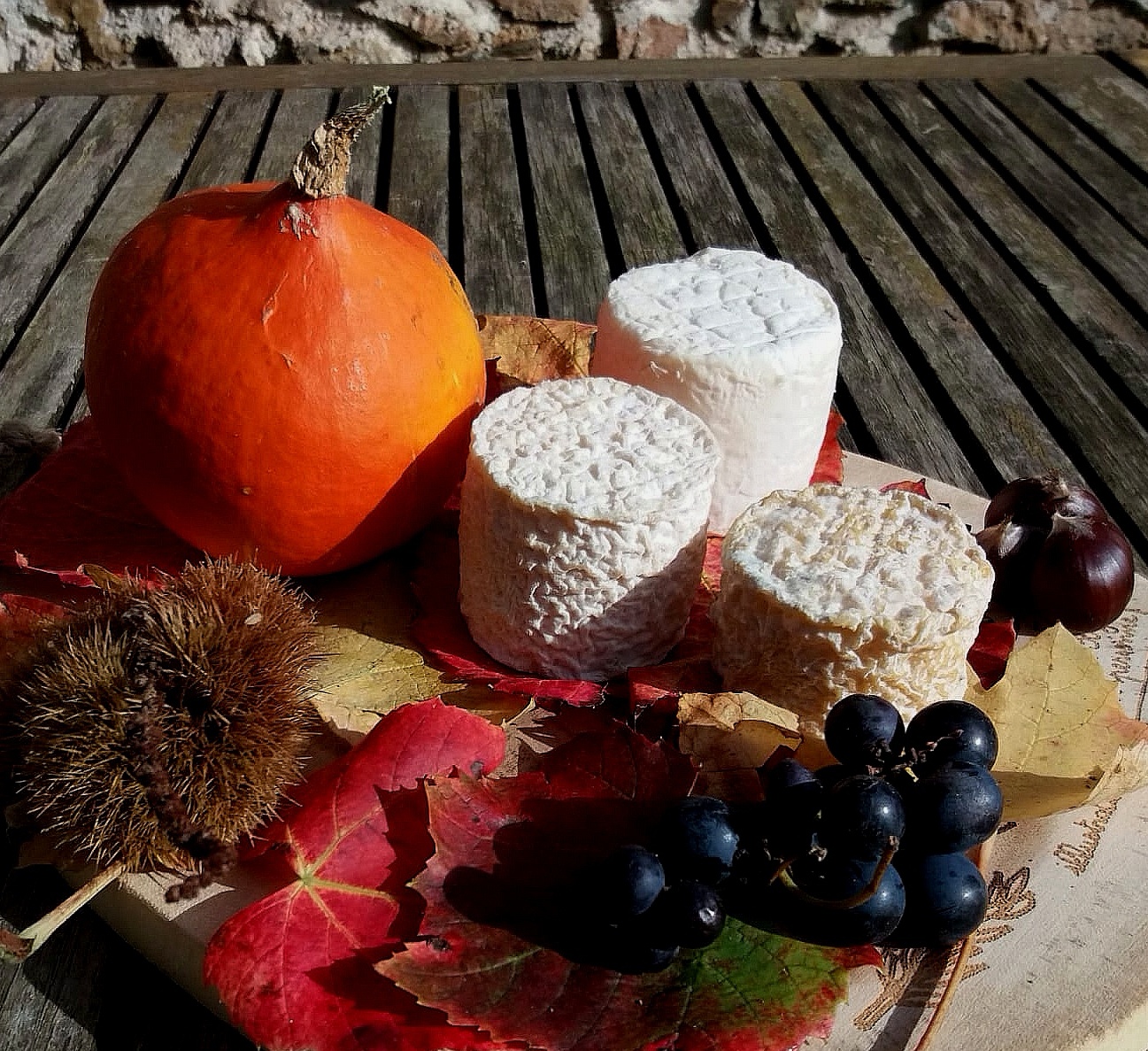Le Chevret / Fromage au lait cru de chèvre - La ferme du Paragard